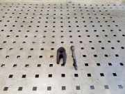 Dichtung für Düsenhalter Citroen C4 II Grand Picasso () 9674341880