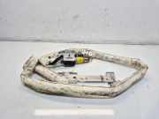 Dach SRS rechts FORD S-MAX (WA6) 2.0 TDCi 6M2114K159