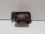 Ölfilterhalter AUDI A6 Avant (4F5, C6) 3.0 TDI quattro 059117021J