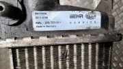 Ladeluftkühler MERCEDES-BENZ A (W168) A 170 CDI (168.008) 99000035