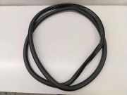 Türdichtungsgummi vorne links AUDI Q4 Sportback (F4N) 45 e-tron sportback 11A867911B