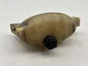 Ausgleichsbehälter NISSAN PRIMASTAR Furgon (X83) 2.5 dCi 150 7700312900 91165571