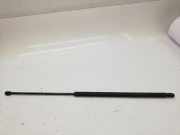 Heckklappendämpfer links Ford Transit Kasten (FA) 1C15V406A10DC