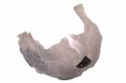 Radhaus links hinten Audi A6 Allroad (4G) 4G0810171B