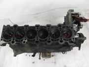 Motorblock BMW 3er (E46) M57D30