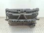 Kühler VW Phaeton (3D) 6Q0010302