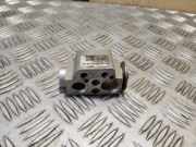 Expansionsventil für Klimaanlage Porsche Cayenne 2 (92A) 7P0820679A