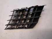Gitter Grill vorne links RENAULT VEL SATIS (BJ0_) 3.0 dCi (BJ0J, BJ0N) EMPD8060