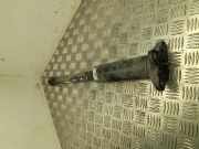 Stoßdämpfer rechts hinten Alfa Romeo Giulia (952) 005055966300