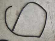 Türdichtung Opel Antara (L07)