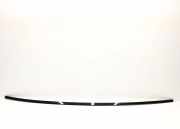 Rechte Dachleistenverkleidung