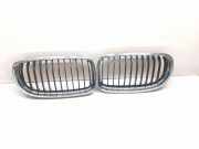 Vorderer oberer Gitter BMW 3 Touring (E91) 318 d 7201967