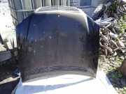 Motorhaube MERCEDES-BENZ S (W220) S 320 CDI (220.025, 220.125)