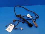 Türverkabelung hinten links