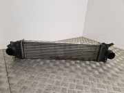 Ladeluftkühler Ford S-Max II (CJ, WA6) E1G36K775JA