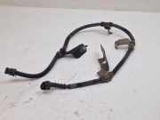 Kabelbaum NISSAN QASHQAI II (J11, J11_) 1.5 dCi 13552002