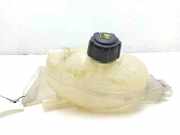 Ausgleichsbehälter OPEL MOVANO B Furgon 2.3 CDTI FWD 217100015R