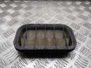 Ziergitter VW Passat B5.5 (3B3) 4A0819181