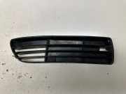 Kühlergrill unten Audi A4 (8E, B7)