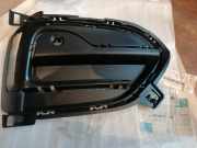 Lüftungsgitter für Stoßfänger BMW X6 (F16, F86) 51117336512