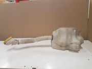Fensterwaschtank RENAULT MEGANE III Coupe (DZ0/1_) 1.5 dCi (DZ0A) 8200104705