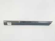 Türverkleidung links Mercedes-Benz C-Klasse (W203) A2036905162