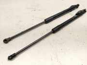 Heckklappe Gasdruckfeder links TOYOTA AVENSIS Sedan (_T27_) 2.0 D-4D (WWT271_) 6895005091