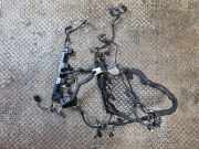 Motor Kabelbaum VW TIGUAN (AD1) 2.0 TSI 4motion 06K972627HF