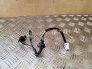 Rücklichtkontakte NISSAN X-TRAIL (T32_) 1.6 dCi (T32)