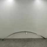 Dachleiste links MERCEDES-BENZ CL (C216) CL 500 4-matic (216.394) A2166900139