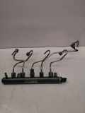 KRAFTSTOFFVERTEILER EINSPRITZLEISTE VERTEILERROHR RENAULT MEGANE III Hatchback (BZ0_) 1.6 dCi (BZ00, BZ12) 8201044829