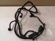 Kabelbaum Citroen C4 Grand Picasso (U) 9662006980