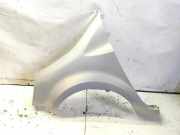 Kotflügel vorne links RENAULT MODUS / GRAND MODUS (F/JP0_) 1.2 (JP0C, JP0K, FP0C, FP0K, FP0P, JP0P, JP0T)