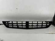 Gitter vorne unten MERCEDES-BENZ R (W251, V251) R 320 CDI 4-matic (251.022, 251.122) A2518850553