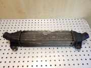 Ladeluftkühler Ford Mondeo III (B5Y) 1S709L440AE
