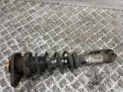 Stoßdämpfer hinten links MINI COUNTRYMAN (R60) John Cooper Works ALL4 9807015