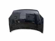 Motorhaube KIA SPORTAGE (JE_, KM_) 2.0 CRDi 4WD