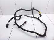 Kabelbaum Hinteren Parksensoren OPEL ANTARA 2.0 CDTI 189QA03 F0619538