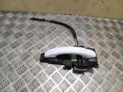Türaußengriff hinten rechts AUDI Q7 (4L) 3.0 TDI quattro