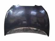 Motorhaube SEAT LEON (1P1) 2.0 TDI 16V
