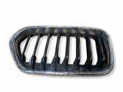 Gitter Grill vorne links BMW X2 (F39) X2 xDrive28i 7424777