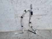 Dach SRS rechts BMW X3 (E83) xDrive 20 d 3038060B