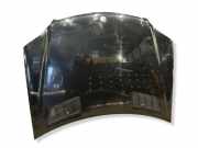 Motorhaube MERCEDES-BENZ M (W164) ML 350 CDI 4-matic (164.122) 2132202312 20254132
