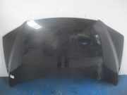 Motorhaube Fiat Multipla (186)