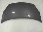 Motorhaube Peugeot Partner II Tepee ()