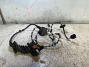 Türverkabelung hinten rechts VW AMAROK (2H_, S1B) 3.0 TDI 4motion 2411245