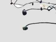 Kabelbaum Vorderen Parksensoren FORD FOCUS C-MAX 1.8 7M5T15K867AA