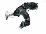 Andere Röhren NISSAN QASHQAI II (J11, J11_) 1.5 dCi 165763328R