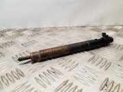 Einspritzdüse FORD S-MAX (WA6) 2.0 TDCi EMBR00101D 9686191080