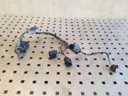 Kabelbaum BMW X5 (E70) 3.0 d 9115107